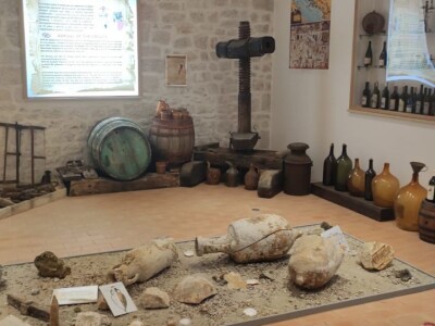 Plamenjača uništava pelješko vinogorje Plamenjača uništava pelješko vinogorje