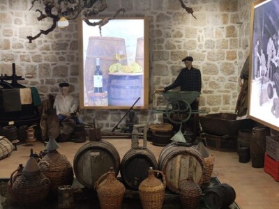 Plamenjača uništava pelješko vinogorje Plamenjača uništava pelješko vinogorje