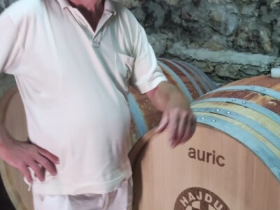 Plamenjača uništava pelješko vinogorje Plamenjača uništava pelješko vinogorje