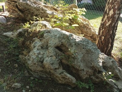 Planinarsko društvo "Čičak"