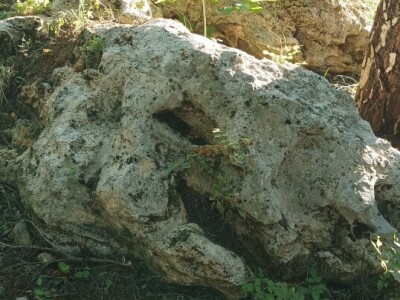 Planinarsko društvo "Čičak"