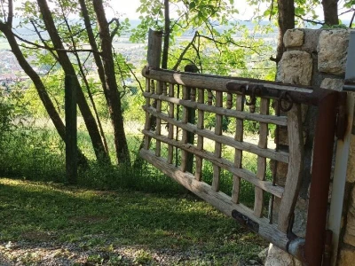Planinarsko društvo "Čičak"