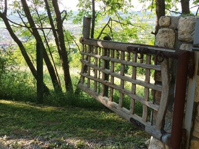 Planinarsko društvo "Čičak"