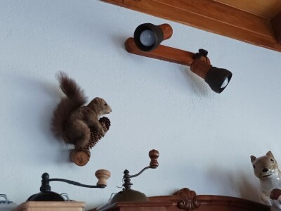 Planinarsko društvo "Čičak"