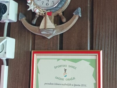 Planinarsko društvo "Čičak"