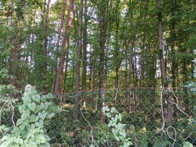 Planinarsko društvo "Čičak"