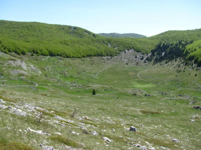 Planine