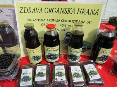 Plantaža aronije porodice Kolundžije