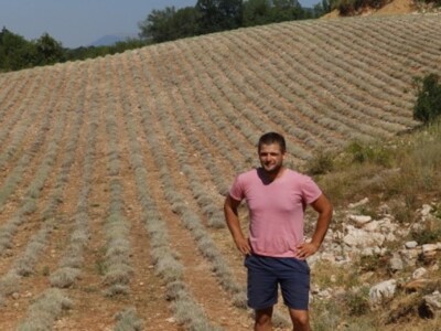 Plantaža mladog smilja u okolici Rame i Prozora Plantaža mladog smilja u okolici Rame i Prozora