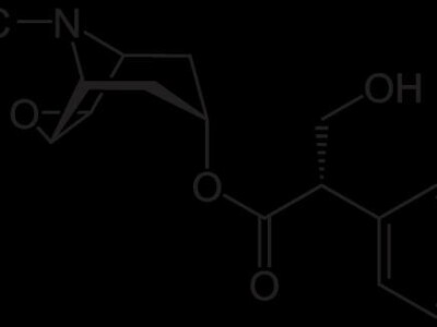 U Indiji i Iranu se vrste roda datura uzgajaju radi proizvodnje skopolaminai