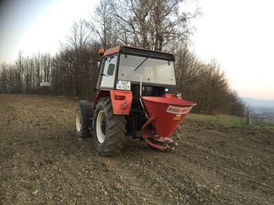 Plantažni uzgoj kestena