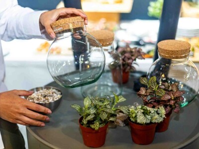 PlantHealth4Life kampanja