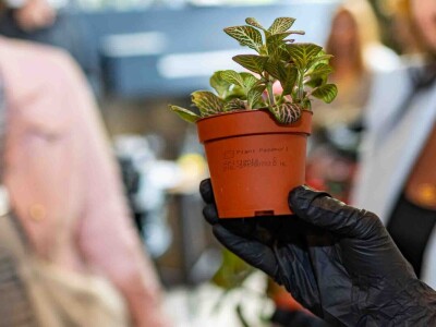 PlantHealth4Life kampanja