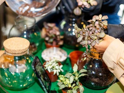 PlantHealth4Life kampanja