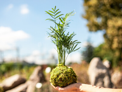 Biljke nisu zgodni suvenir s putovanja