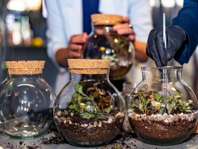 PlantHealth4Life kampanja