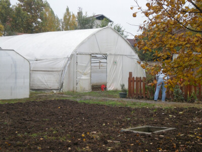 Plastenička proizvodnja u povrtarstvu