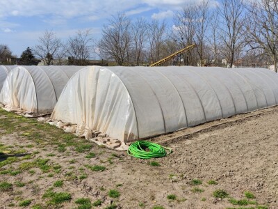 Plastenici Dimitrija Đurđevića iz Malih Radinaca