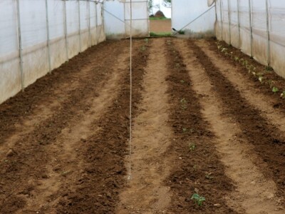 Plastenici Mirsada Karića u Bratuncu