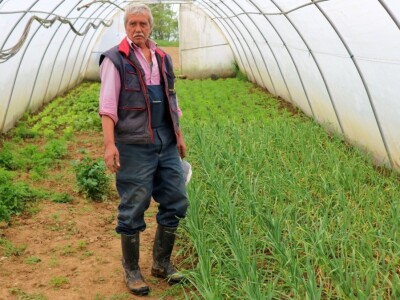 Plastenici Mirsada Karića u Bratuncu