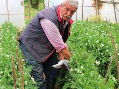 Plastenici Mirsada Karića u Bratuncu