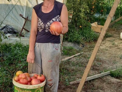 Plastenička proizvodnja Admira Zahirovića