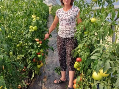 Plastenička proizvodnja Admira Zahirovića