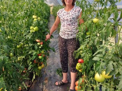 Plastenička proizvodnja Admira Zahirovića