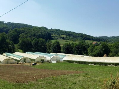 Plastenička proizvodnja Admira Zahirovića