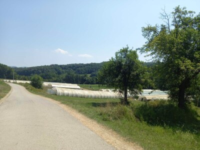 Plastenička proizvodnja Admira Zahirovića