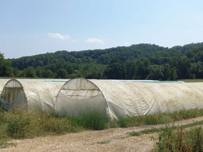 Plastenička proizvodnja Admira Zahirovića