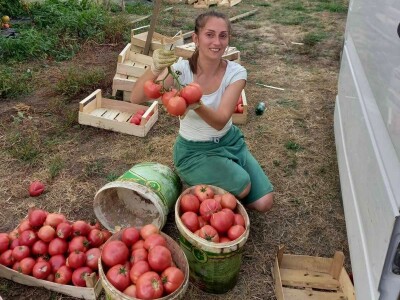 Plastenička proizvodnja Admira Zahirovića