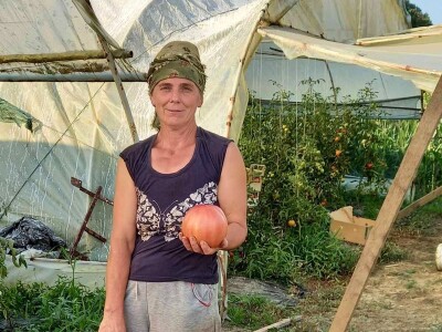 Plastenička proizvodnja Admira Zahirovića