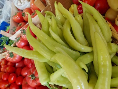 Plastenička proizvodnja "Hasan" Plastenička proizvodnja "Hasan"