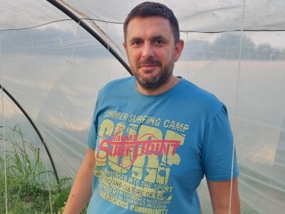 Plastenička proizvodnja povrća