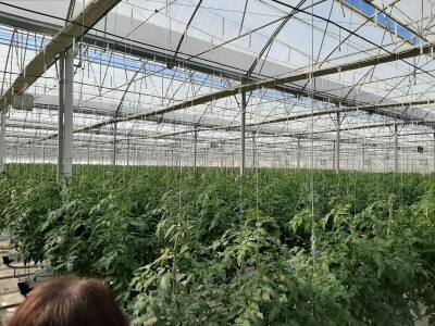 Plastenička proizvodnja u regiji Antalije Plastenička proizvodnja u regiji Antalije