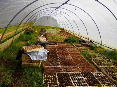 Plastenici OPG-a Plastenici OPG-a