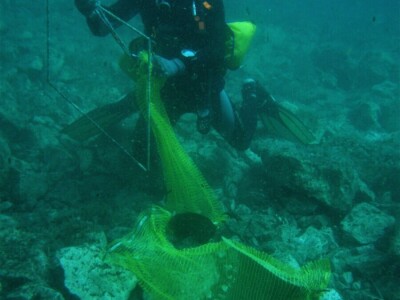 Plavi svijet - Projekt "marGnet" Plavi svijet - Projekt "marGnet"