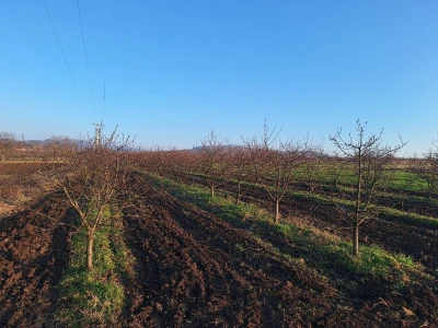 Plavo prskanje