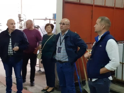 Plešivičko vinogorje - projekt