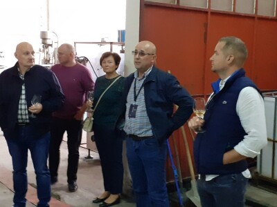 Plešivičko vinogorje - projekt