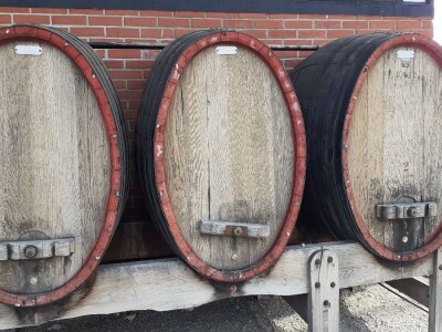 Plešivičko vinogorje - projekt