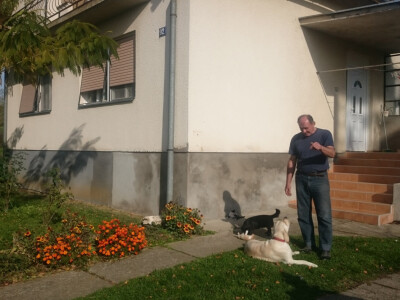 Uvijek u društvu pasa ljubimaca