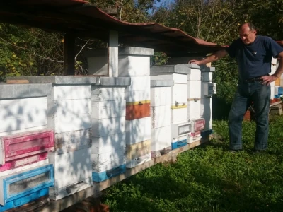 Franjo rado provodi vrijeme u pčelinjaku