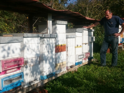 Franjo rado provodi vrijeme u pčelinjaku