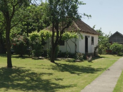 Plod crne ribizle je veoma zdrav Plod crne ribizle je veoma zdrav