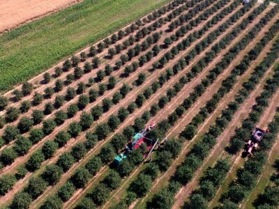 Plodna polja Zlatne doline snimljena dronom