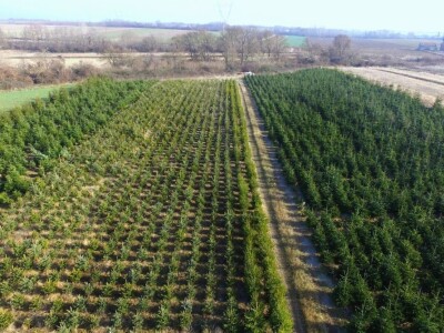 Plodna polja Zlatne doline snimljena dronom