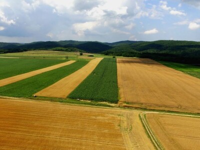 Plodna polja Zlatne doline snimljena dronom