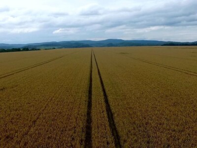 Plodna polja Zlatne doline snimljena dronom